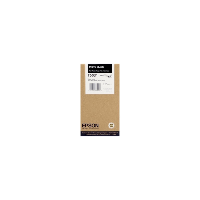 Epson Cartuccia D\'Inchiostro Nero (Foto) C13T603100 T6031 220Ml Originale